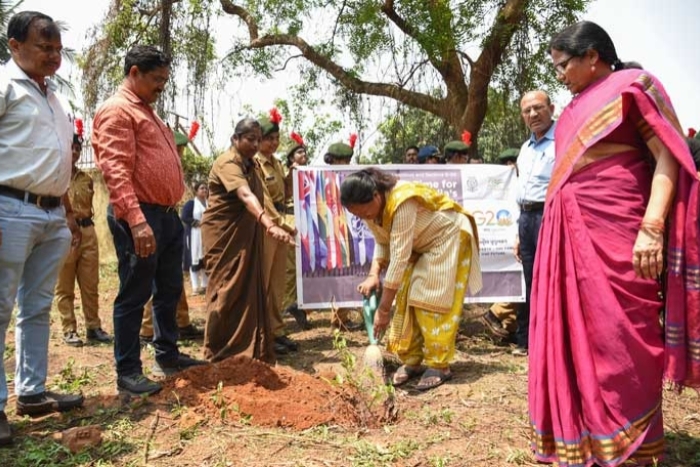 Plantation of tree for G-20 jan Bhagidari events